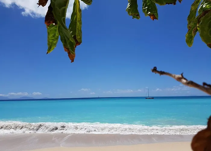 Dickenson Bay Oasis At Antigua Village
